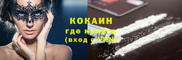 твердый Богданович
