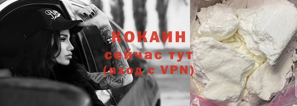 твердый Богданович