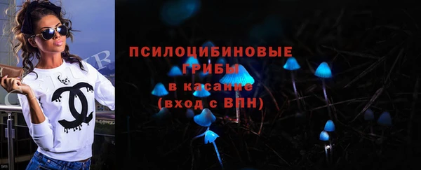 PSILOCYBIN Богородск