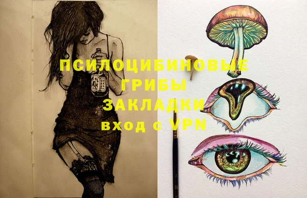 PSILOCYBIN Богородск