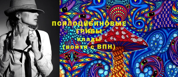 ГАЛЛЮЦИНОГЕННЫЕ ГРИБЫ Богородицк