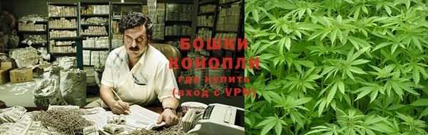 ГАЛЛЮЦИНОГЕННЫЕ ГРИБЫ Богородицк