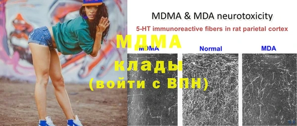 твердый Богданович
