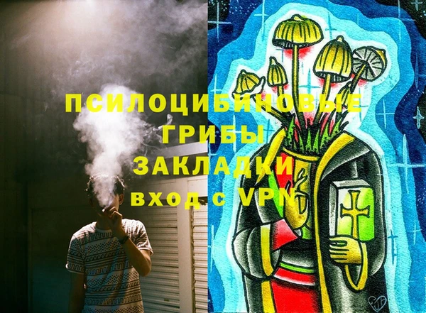 ГАЛЛЮЦИНОГЕННЫЕ ГРИБЫ Богородицк