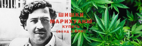 PSILOCYBIN Богородск