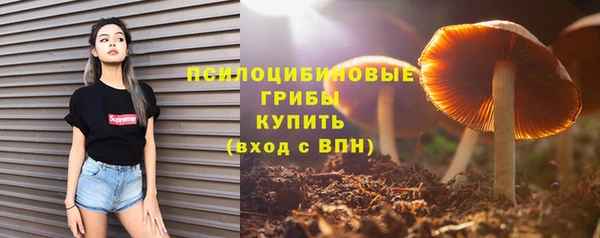 ГАЛЛЮЦИНОГЕННЫЕ ГРИБЫ Богородицк