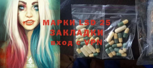 твердый Богданович